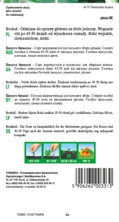 59062620033132