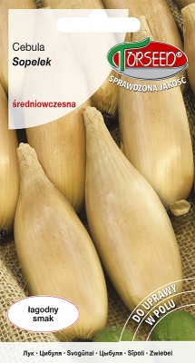 Torebka nasion cebuli Sopelek Torseed – przód