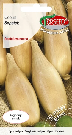 Torebka nasion cebuli Sopelek Torseed – przód