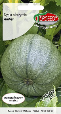 Torebka nasion dyni olbrzymiej Ambar Torseed – przód