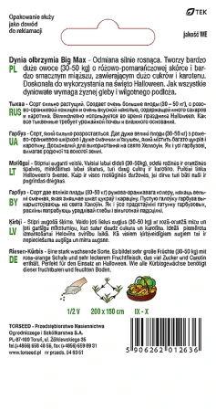 Torebka nasion dyni olbrzymiej Big Max Torseed – tył z opisem odmiany i terminami siewu