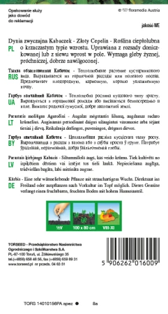 59062620160092