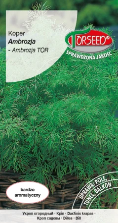 5906262036106