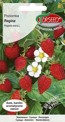 Torebka nasion poziomki Regina Torseed – przód