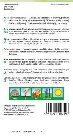 Torebka nasion astra chryzantemowego jasnoniebieski Torseed – tył z opisem i terminami siewu