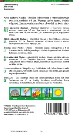 59062621077142
