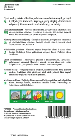 59062621524002