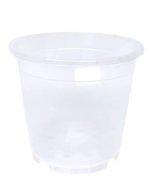 Półprzezroczysta mleczna doniczka produkcyjna 17 cm na czarnym tle