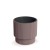 DONICZKA MILLY MARSALA DBMIN