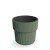 DONICZKA MILLY ZIELONA PINIA DBMIR