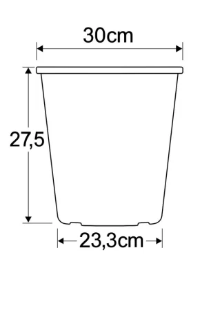 59031543908893