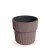 DONICZKA MILLY MARSALA DBMIR