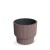 DONICZKA MILLY MARSALA DBMLR