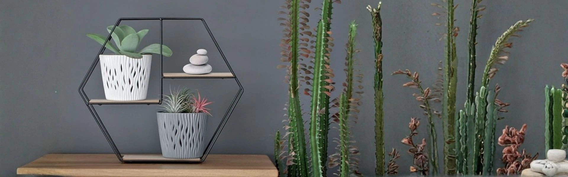 Doniczki na każdy styl