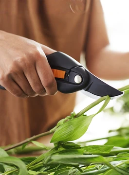 SEKATORY 265x360.webp