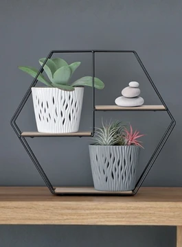 DONICZKI 265x360.webp