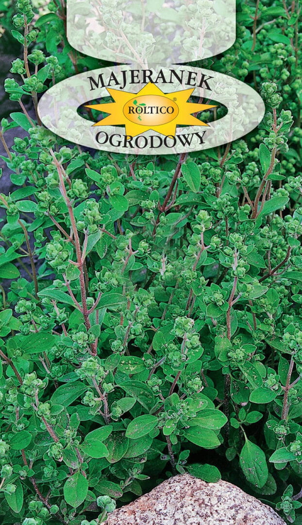 MAJERANEK OGRODOWY 0,5G ROLTICO