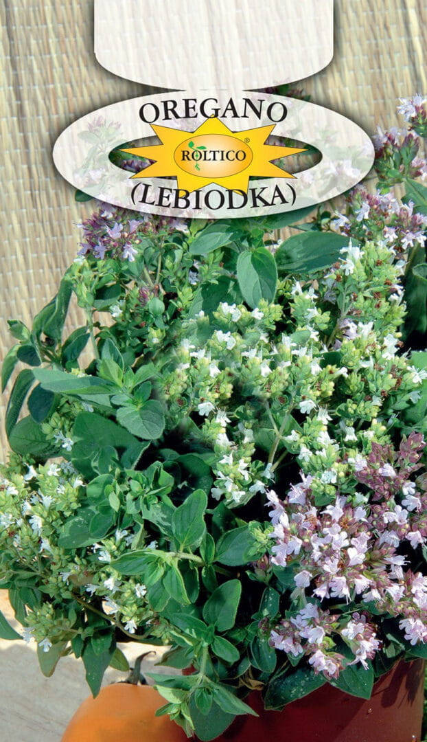 OREGANO LEBIODKA 0,2G ROLTICO