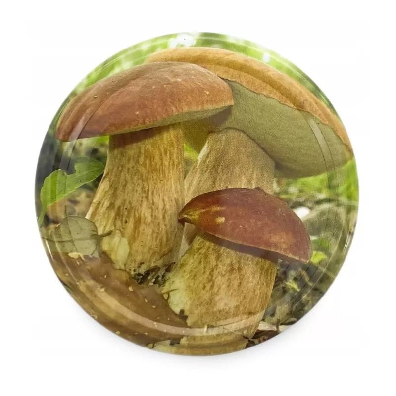 ZAKRĘTKA DO SŁOIKA FI 82/6 GRZYBY 10SZT. TRAGAR