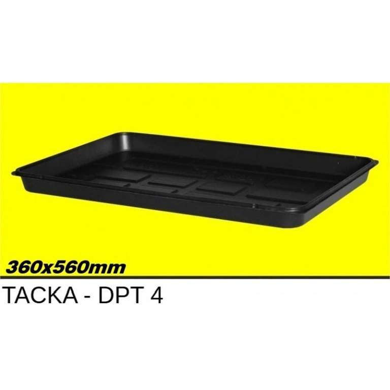 TACA WYSIEWNA DPT4 H-25 36 X 56CM ROKO