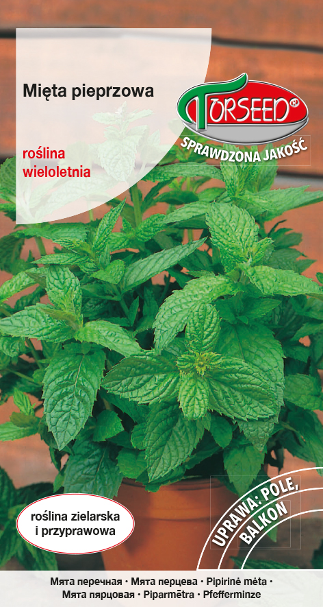 MIĘTA PIEPRZOWA 0,1G TORSEED