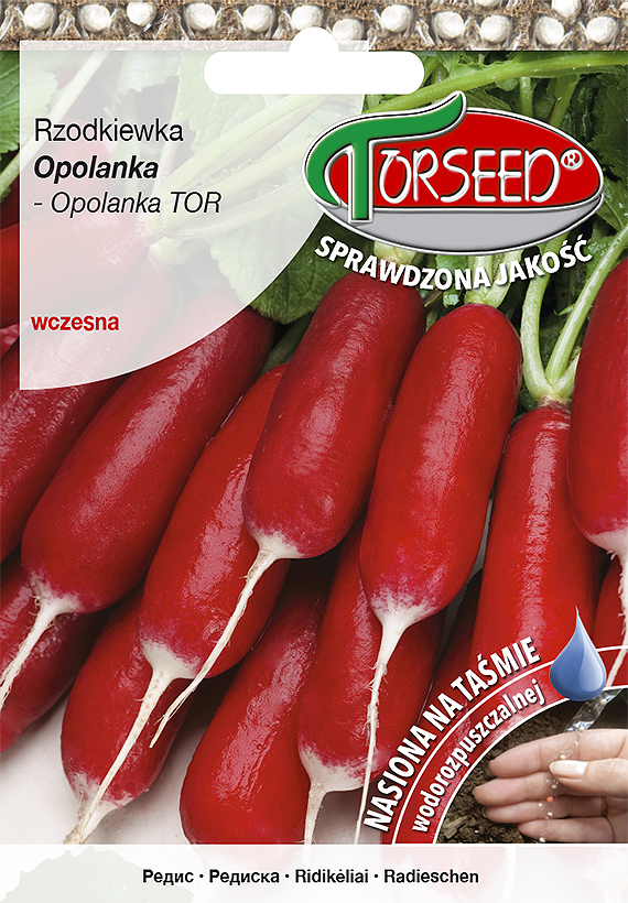 RZODKIEWKA OPOLANKA TAŚMA WCZESNA CYLINDRYCZNA CZERWONO-BIAŁA 5M 165 NASION TORSEED