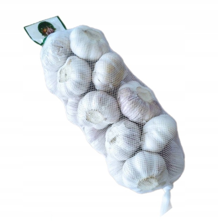CZOSNEK POLSKI WIOSENNY 1KG PLANTA